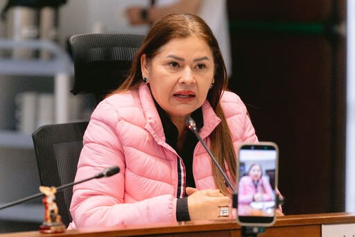 Concejala Leticia Orrego